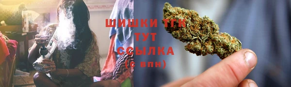 спиды Аркадак